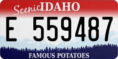 ID license plate E559487