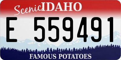ID license plate E559491