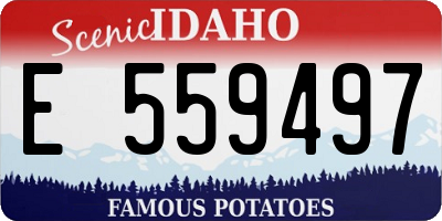ID license plate E559497