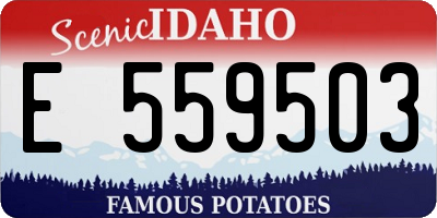 ID license plate E559503