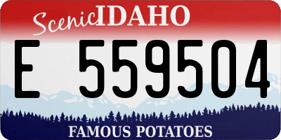 ID license plate E559504