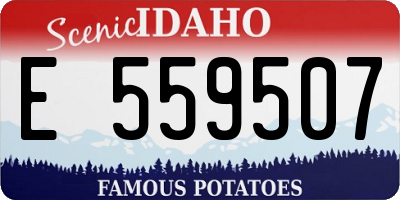 ID license plate E559507