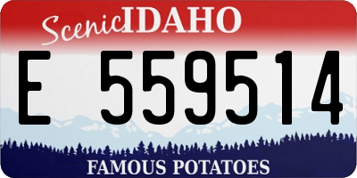 ID license plate E559514