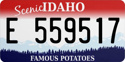 ID license plate E559517