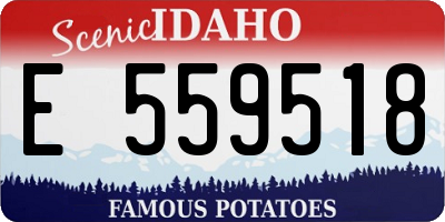ID license plate E559518