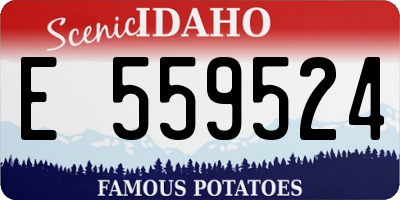ID license plate E559524