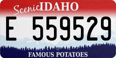 ID license plate E559529