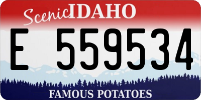 ID license plate E559534