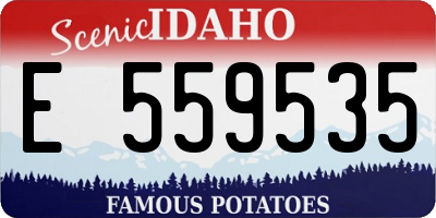 ID license plate E559535