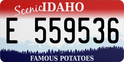 ID license plate E559536