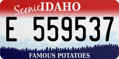 ID license plate E559537
