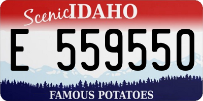ID license plate E559550