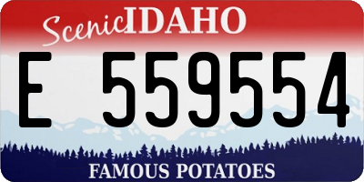 ID license plate E559554