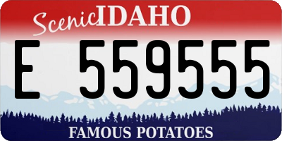 ID license plate E559555