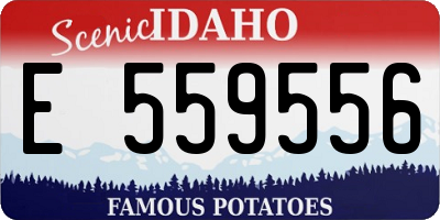 ID license plate E559556