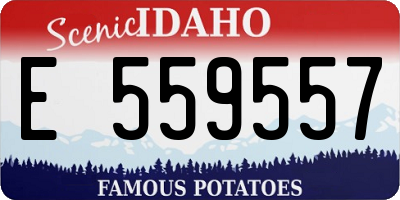 ID license plate E559557