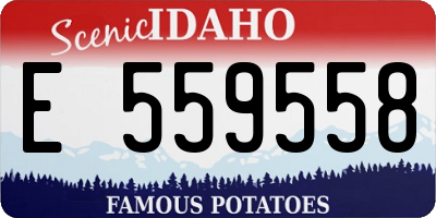 ID license plate E559558