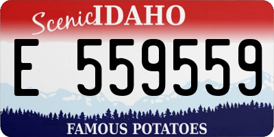ID license plate E559559