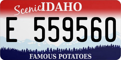 ID license plate E559560