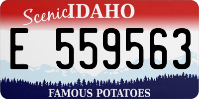 ID license plate E559563