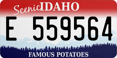 ID license plate E559564