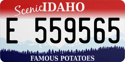ID license plate E559565