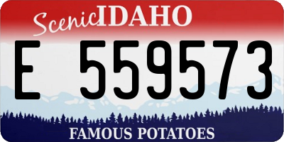 ID license plate E559573