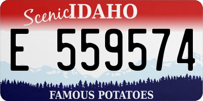 ID license plate E559574