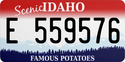 ID license plate E559576
