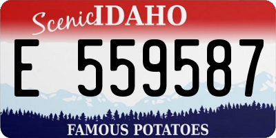 ID license plate E559587