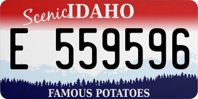 ID license plate E559596