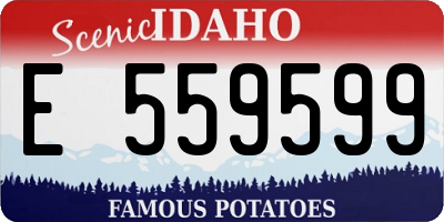 ID license plate E559599