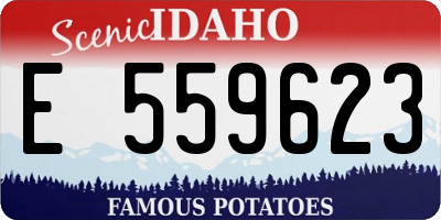 ID license plate E559623