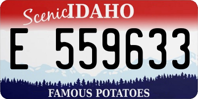 ID license plate E559633