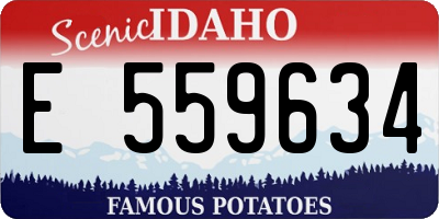 ID license plate E559634
