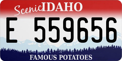 ID license plate E559656