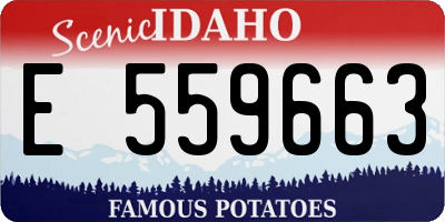 ID license plate E559663