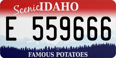 ID license plate E559666