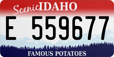 ID license plate E559677