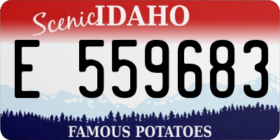 ID license plate E559683