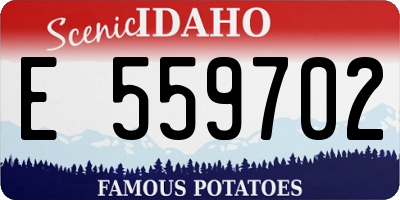 ID license plate E559702