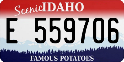 ID license plate E559706