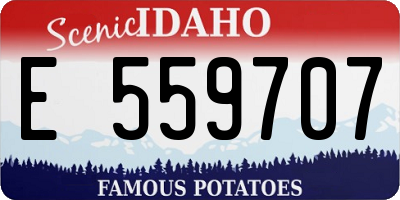 ID license plate E559707