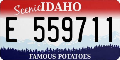 ID license plate E559711