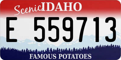 ID license plate E559713
