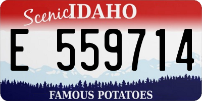 ID license plate E559714