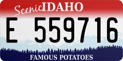 ID license plate E559716