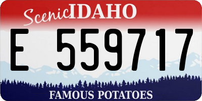 ID license plate E559717