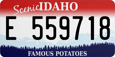 ID license plate E559718