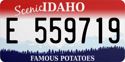 ID license plate E559719